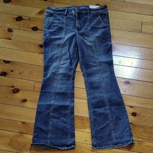 Women's American Eagle jeans 18L